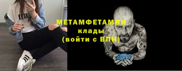ГАЛЛЮЦИНОГЕННЫЕ ГРИБЫ Гусь-Хрустальный