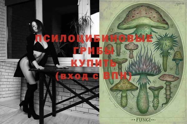 а пвп мука Белокуриха